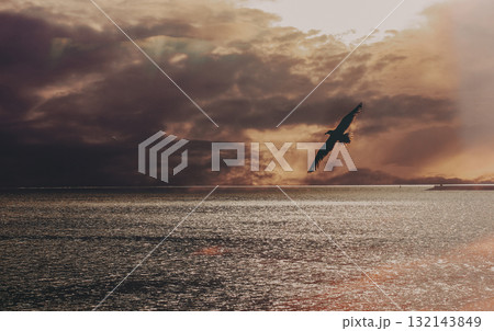 Seagull soaring over ocean at sunset under a dramatic sky. A lone seagull gracefully flies across the sea. Calm seascape scene. Seagull soaring over ocean at sunset under a dramatic sky. A lone seagull gracefully flies across the sea. Calm seascape scene. 132143849
