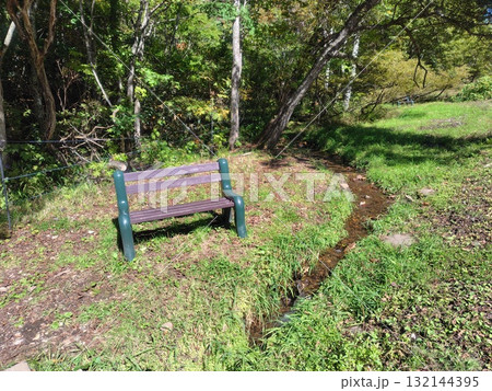 秋のたんばら高原　遊歩道のベンチ　群馬県沼田市 132144395