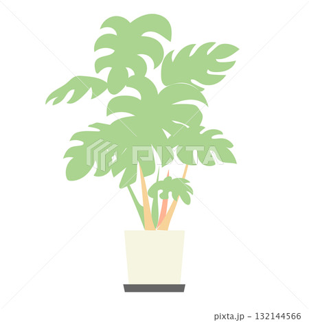 イラスト素材: モンステラの鉢植えベクターイラスト 132144566