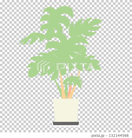 イラスト素材: モンステラの鉢植えベクターイラスト 132144566