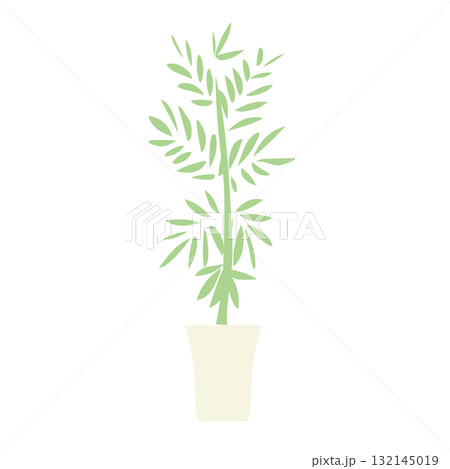 イラスト素材: シュロチクの鉢植えベクターイラスト イラスト素材: シュロチクの鉢植えベクターイラスト 132145019