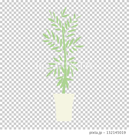 イラスト素材: シュロチクの鉢植えベクターイラスト イラスト素材: シュロチクの鉢植えベクターイラスト 132145019