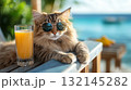 Cat relaxing on a wooden deck with drink, enjoying a sunny beach day 132145282