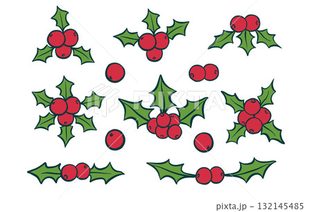 Holly berry Christmas icon set, Merry Christmas and Xmas, holiday tree sign vector collection 132145485