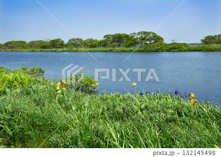 サロベツ原生花園 夏の長沼風景 サロベツ原生花園 夏の長沼風景 132145498
