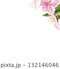 Pink sakura flowers, green leaves watercolor corner composition isolated on white. Spring floral design perfect for invitations, cards, packaging, Japanese themes, botanical backgrounds, pastel tones. 132146046