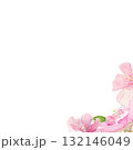 Pink sakura flowers, green leaves watercolor corner composition isolated on white. Spring floral design perfect for invitations, cards, packaging, Japanese themes, botanical backgrounds, pastel tones. 132146049