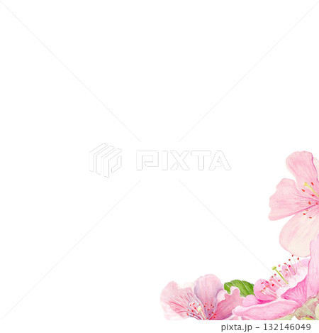 Pink sakura flowers, green leaves watercolor corner composition isolated on white. Spring floral design perfect for invitations, cards, packaging, Japanese themes, botanical backgrounds, pastel tones. 132146049