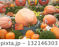 かぼちゃ 132146303