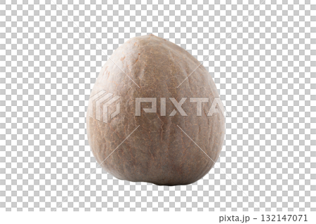 透明背景（png）にアボカドの種のイラスト素材 [132147071] - PIXTA