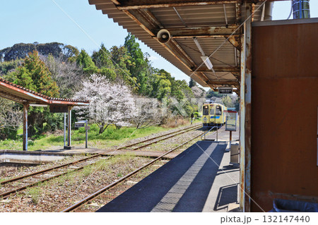 福岡県行橋市の平成筑豊鉄道豊津駅となのはな号 福岡県行橋市の平成筑豊鉄道豊津駅となのはな号 132147440
