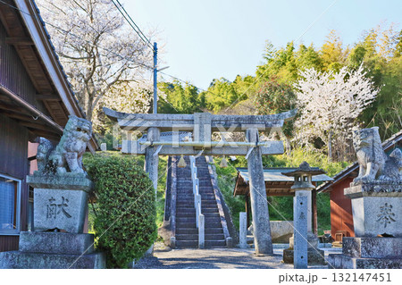 福岡県みやこ町犀川柳瀬にある桜咲く春の貴舩神社 福岡県みやこ町犀川柳瀬にある桜咲く春の貴舩神社 132147451