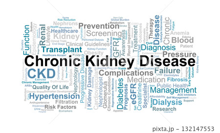 Chronic Kidney Disease Word Cloud. Key Concepts On Renal Function, Dialysis, Treatment, Risk Factors, Prevention, And Long-Term Health Management. Chronic Kidney Disease Word Cloud. Key Concepts On Renal Function, Dialysis, Treatment, Risk Factors, Prevention, And Long-Term Health Management. 132147553