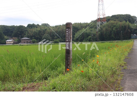 あじさい坂 132147608