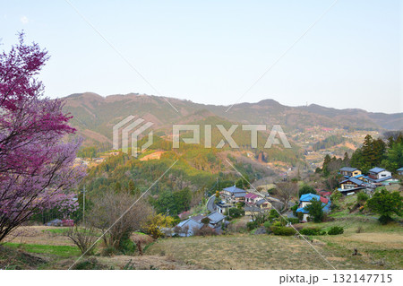桜の花の咲くころ 里山里地 斜面に建つ集落 東秩父村 桜の花の咲くころ 里山里地 斜面に建つ集落 東秩父村 132147715