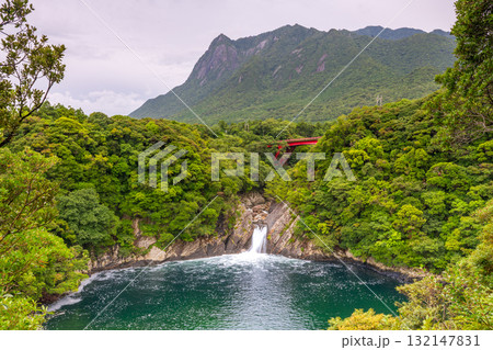 世界自然遺産モッチョム岳とトローキの滝　屋久島(夏 132147831