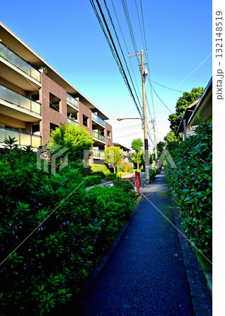 初秋紅葉してきた並木道 駒場東大前駅周辺の閑静な高級住宅街 初秋紅葉してきた並木道 駒場東大前駅周辺の閑静な高級住宅街 132148519