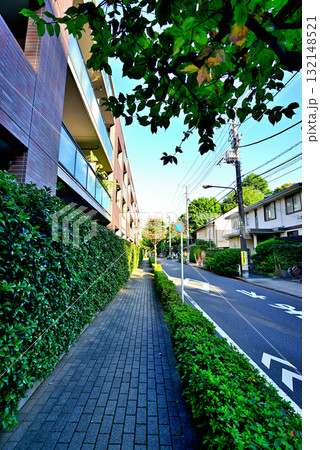 初秋紅葉してきた並木道 駒場東大前駅周辺の閑静な高級住宅街 初秋紅葉してきた並木道 駒場東大前駅周辺の閑静な高級住宅街 132148521