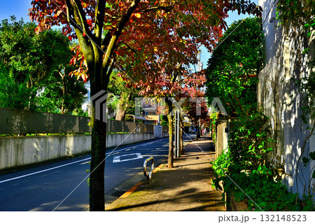 初秋紅葉してきた並木道　駒場東大前駅周辺の閑静な高級住宅街 132148523