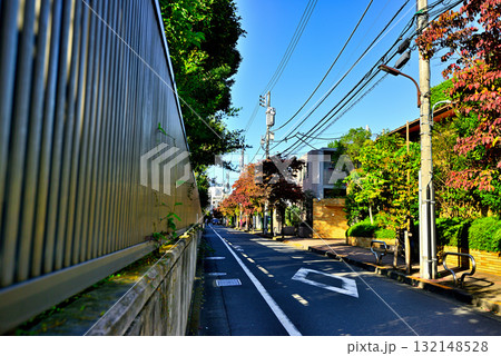 初秋紅葉してきた並木道 駒場東大前駅周辺の閑静な高級住宅街 初秋紅葉してきた並木道 駒場東大前駅周辺の閑静な高級住宅街 132148528