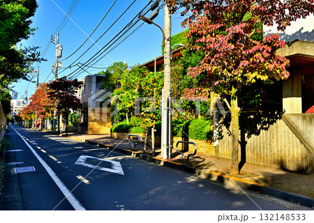 初秋紅葉してきた並木道 駒場東大前駅周辺の閑静な高級住宅街 初秋紅葉してきた並木道 駒場東大前駅周辺の閑静な高級住宅街 132148533