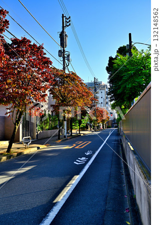 初秋紅葉してきた並木道 駒場東大前駅周辺の閑静な高級住宅街 初秋紅葉してきた並木道 駒場東大前駅周辺の閑静な高級住宅街 132148562