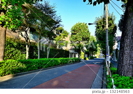 初秋紅葉してきた並木道　駒場東大前駅周辺の閑静な高級住宅街 132148563