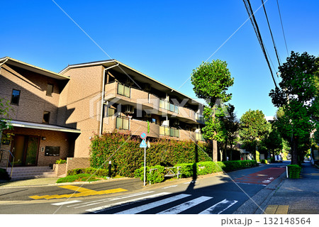 初秋紅葉してきた並木道　駒場東大前駅周辺の閑静な高級住宅街 132148564