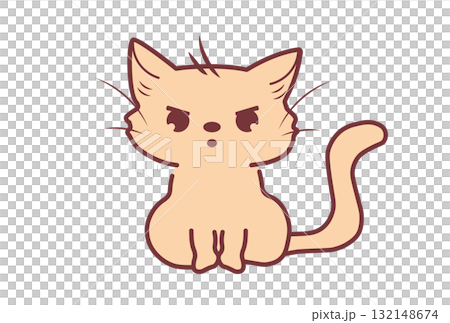 不機嫌な表情の茶色い猫 不機嫌な表情の茶色い猫 132148674