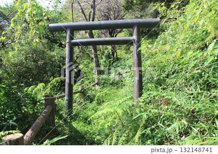 権現山 権現山 132148741