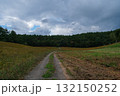 高原の道 132150252