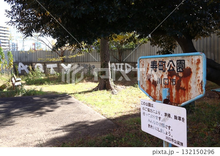 秋の寿町公園にて（埼玉県川口市） 132150296