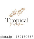 Palm leaf logo black silhouette of coconut leaf with simple modern and elegant line design illustration and symbol template design 132150537