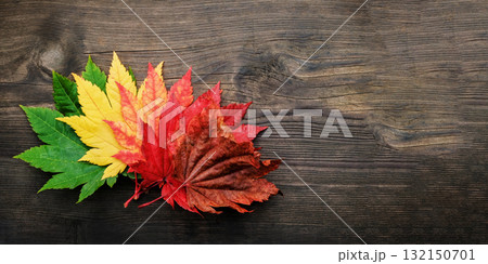Maple leaf resting on a wooden board, symbolizing calmness, nostalgia Maple leaf resting on a wooden board, symbolizing calmness, nostalgia 132150701