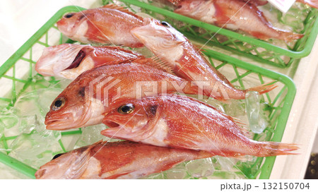 Fresh Kinki fish displayed at a Japanese Seafood market 132150704