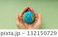 Earth in hands symbolizing sustainability, Recyling and Renewable 132150729