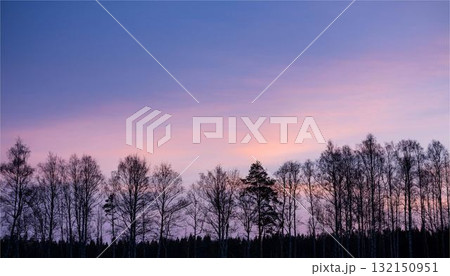 森林のシルエットと冬の夕焼け空　美しい夜明けの空 - 自然・季節の背景素材 132150951