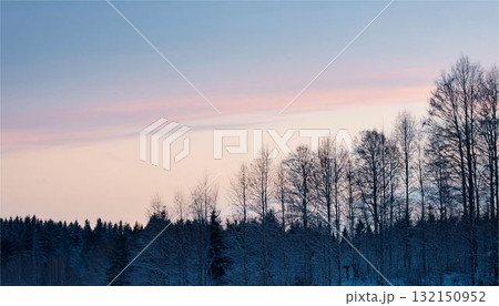 森林のシルエットと冬の夕焼け空 美しい夜明けの空 - 自然・季節の背景素材 森林のシルエットと冬の夕焼け空 美しい夜明けの空 - 自然・季節の背景素材 132150952