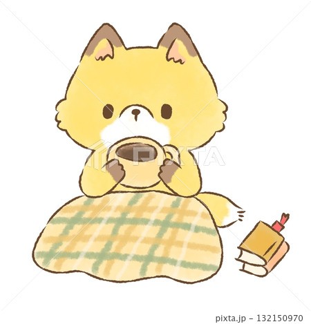 冬の日のきつねさん ブランケットと読書 冬の日のきつねさん ブランケットと読書 132150970