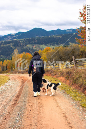 Walking girl with dogs in autumn mountains. Young woman with backpack on country road, view from the back. Active lifestyle concept. Hiking woman with dogs. Journey in Carpathian mountains, Ukraine. 132151382