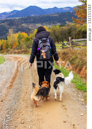 Walking girl with dogs in autumn mountains. Young woman with backpack on country road, view from the back. Active lifestyle concept. Hiking woman with dogs. Journey in Carpathian mountains, Ukraine. 132151383
