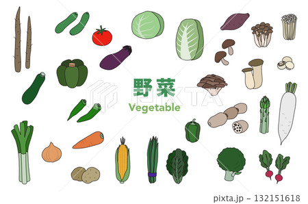 フラットイラスト:野菜セット(アウトライン) フラットイラスト:野菜セット(アウトライン) 132151618