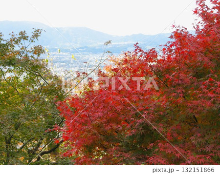 紅葉 2007 01 紅葉 2007 01 132151866