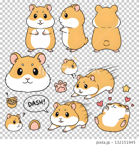 Set of hamster character cartoon. illustration design. 132151945
