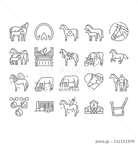 horse breeding equestrian icons set vector horse breeding equestrian icons set vector 132151970
