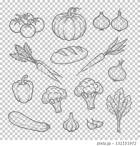 vegetables set. Vector collection of various fresh garden vegetables such as tomato, pumpkin, carrot, onion, pepper, broccoli, garlic and other. Sketch doodle style illustration. 132151972