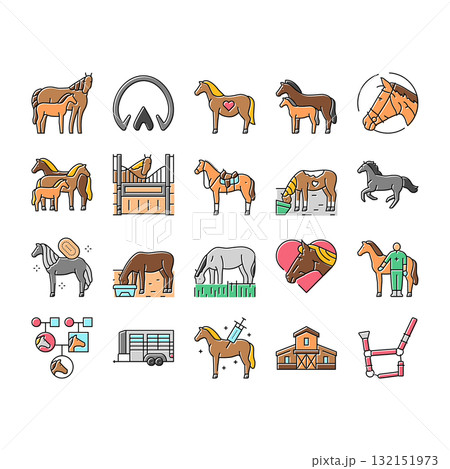 horse breeding equestrian icons set vector horse breeding equestrian icons set vector 132151973