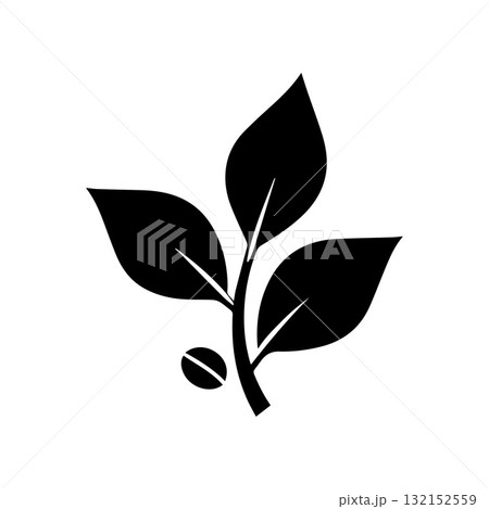 Intricate Circular Coffee Plant Pattern for Elegant Branding 132152559