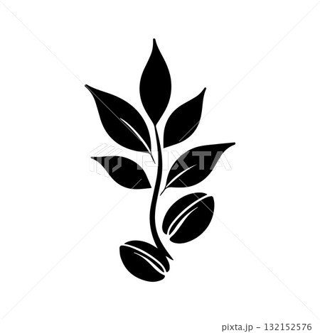 Circular Badge Coffee Plant Logo with Balanced Compositio Circular Badge Coffee Plant Logo with Balanced Compositio 132152576