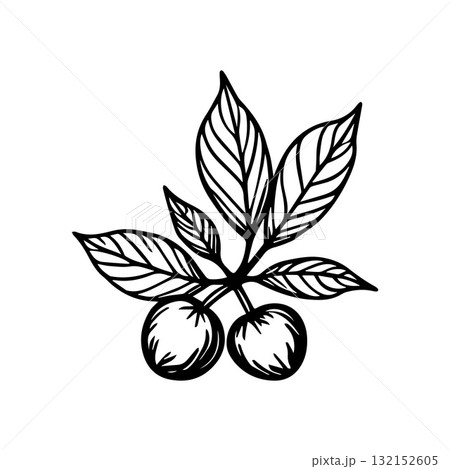Stylish Vintage Deco Coffee Plant Emblem for Premium Branding Stylish Vintage Deco Coffee Plant Emblem for Premium Branding 132152605